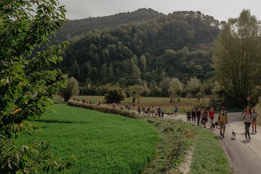 camminoperglianimali foto di federica cavicchi