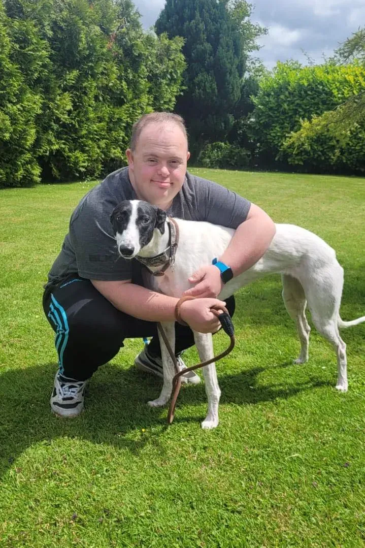 canzone greyhound adozione pet levrieri 01 1