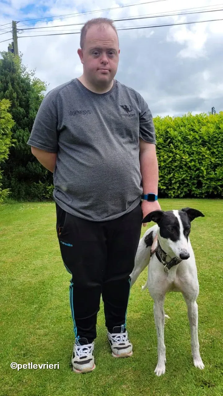 canzone greyhound adozione pet levrieri 09