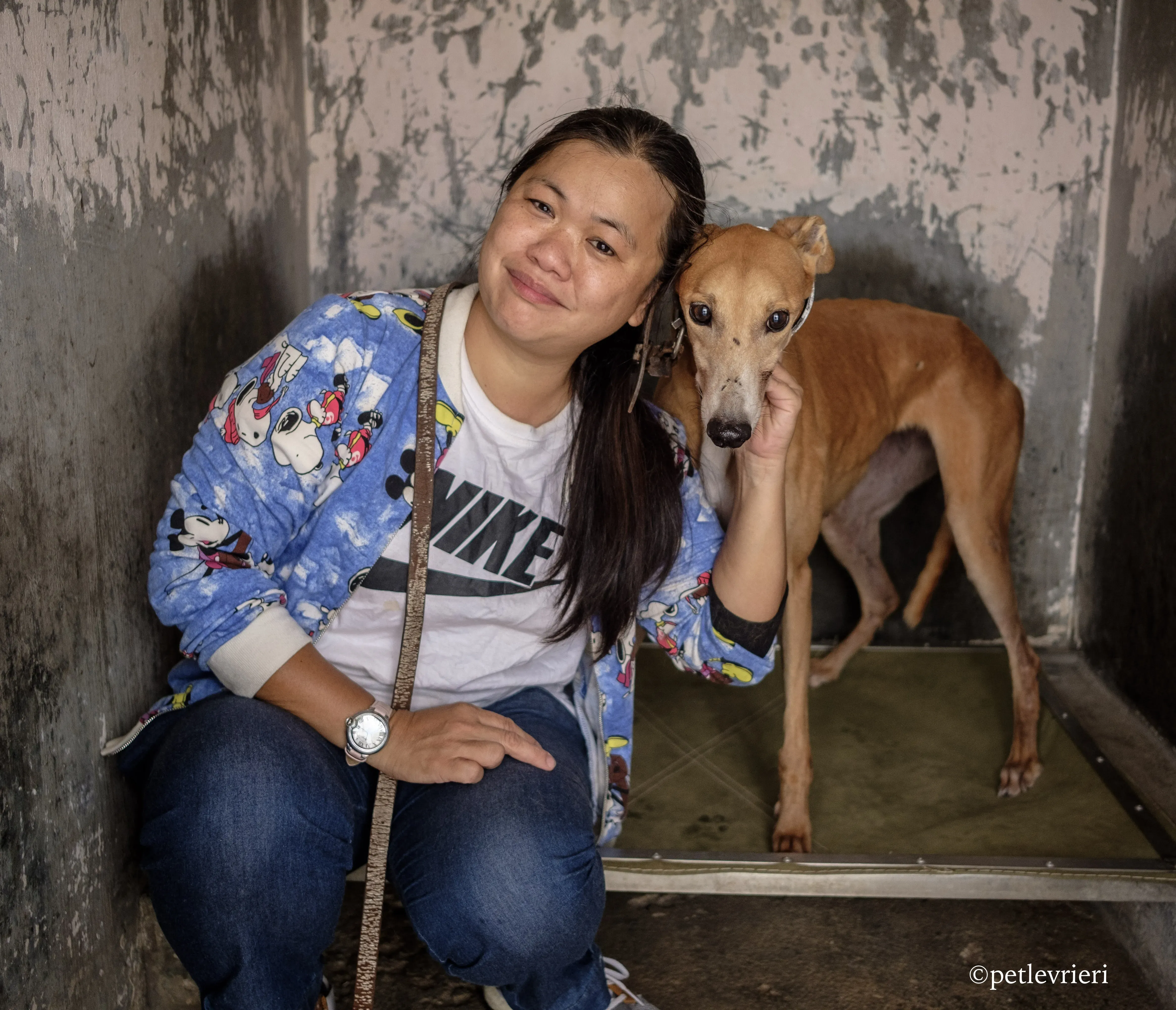 captain solid adozione greyhound macao 7