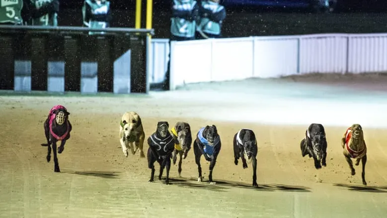 cd1f875e810982f48bbdf8ebc7f3a7ef7af51e5d