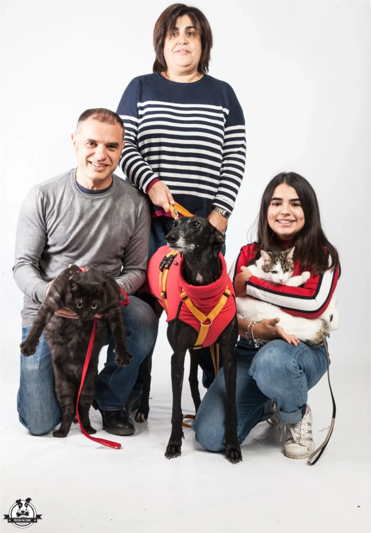 chiova galga pet levrieri felici casa19