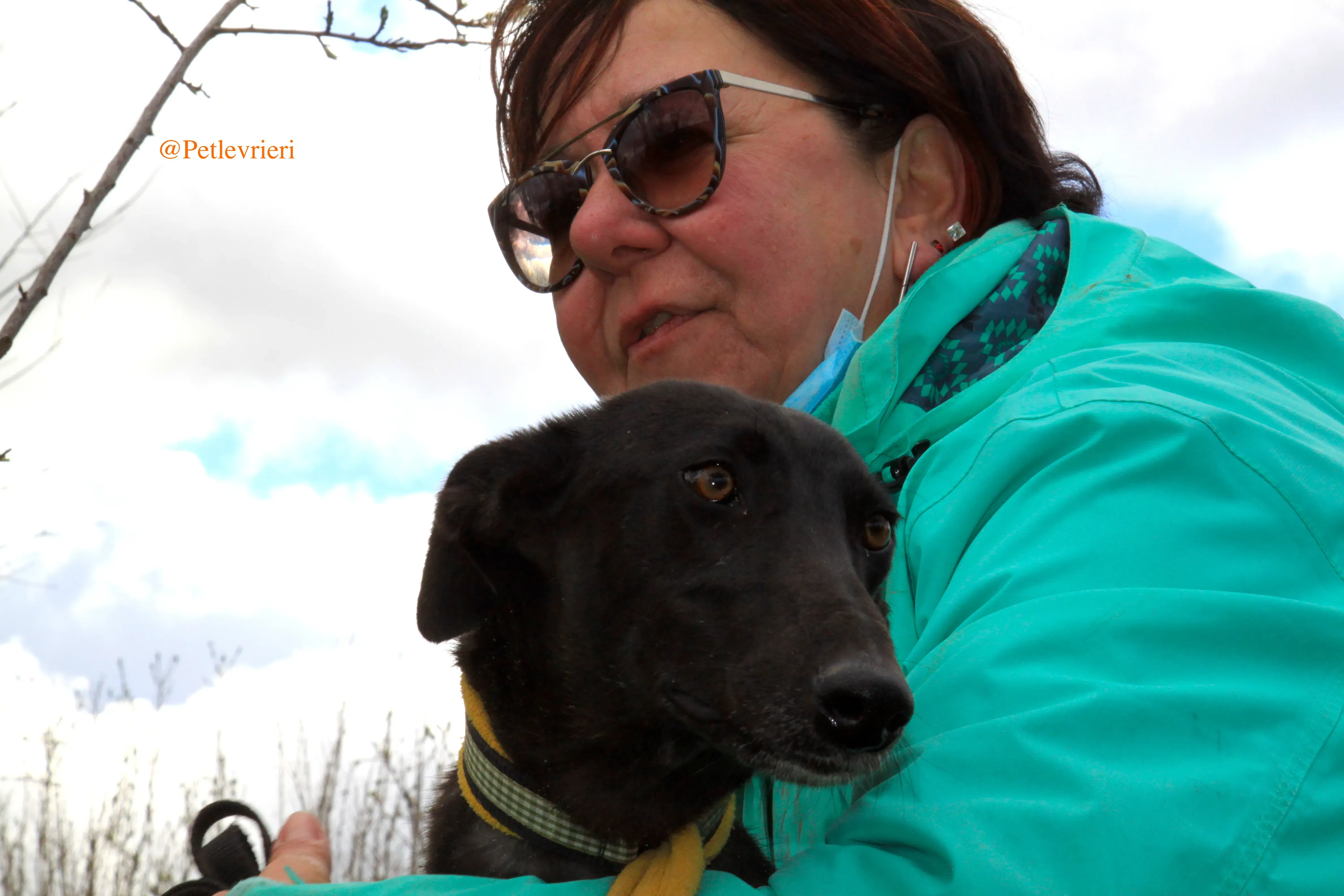 chip3012 adozioni levrieri galgo 13