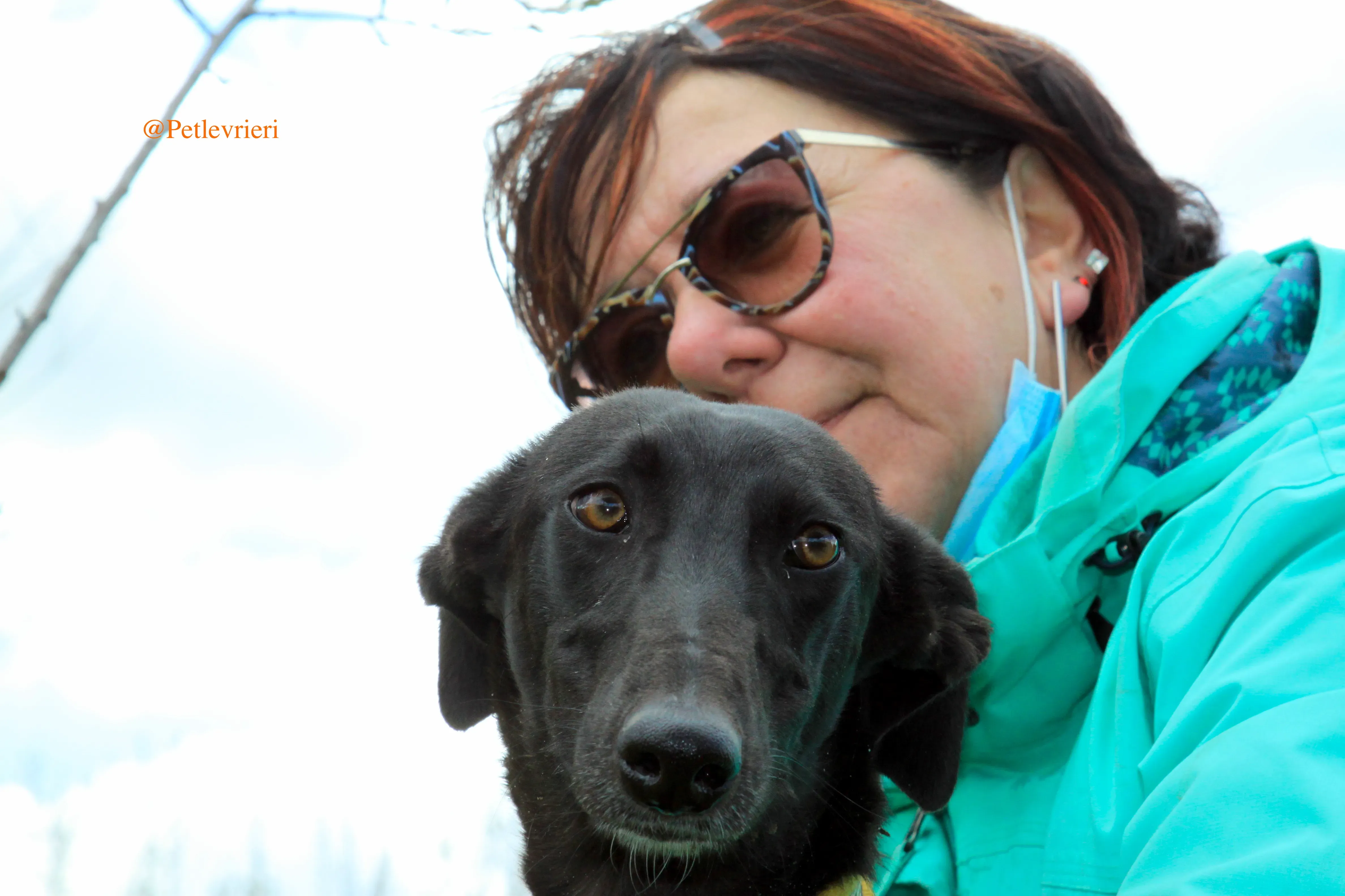 chip3012 adozioni levrieri galgo 14