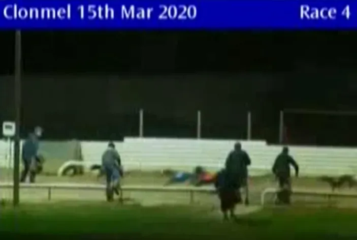 clonmel greyhound track 15 march 2020 49686583841 o