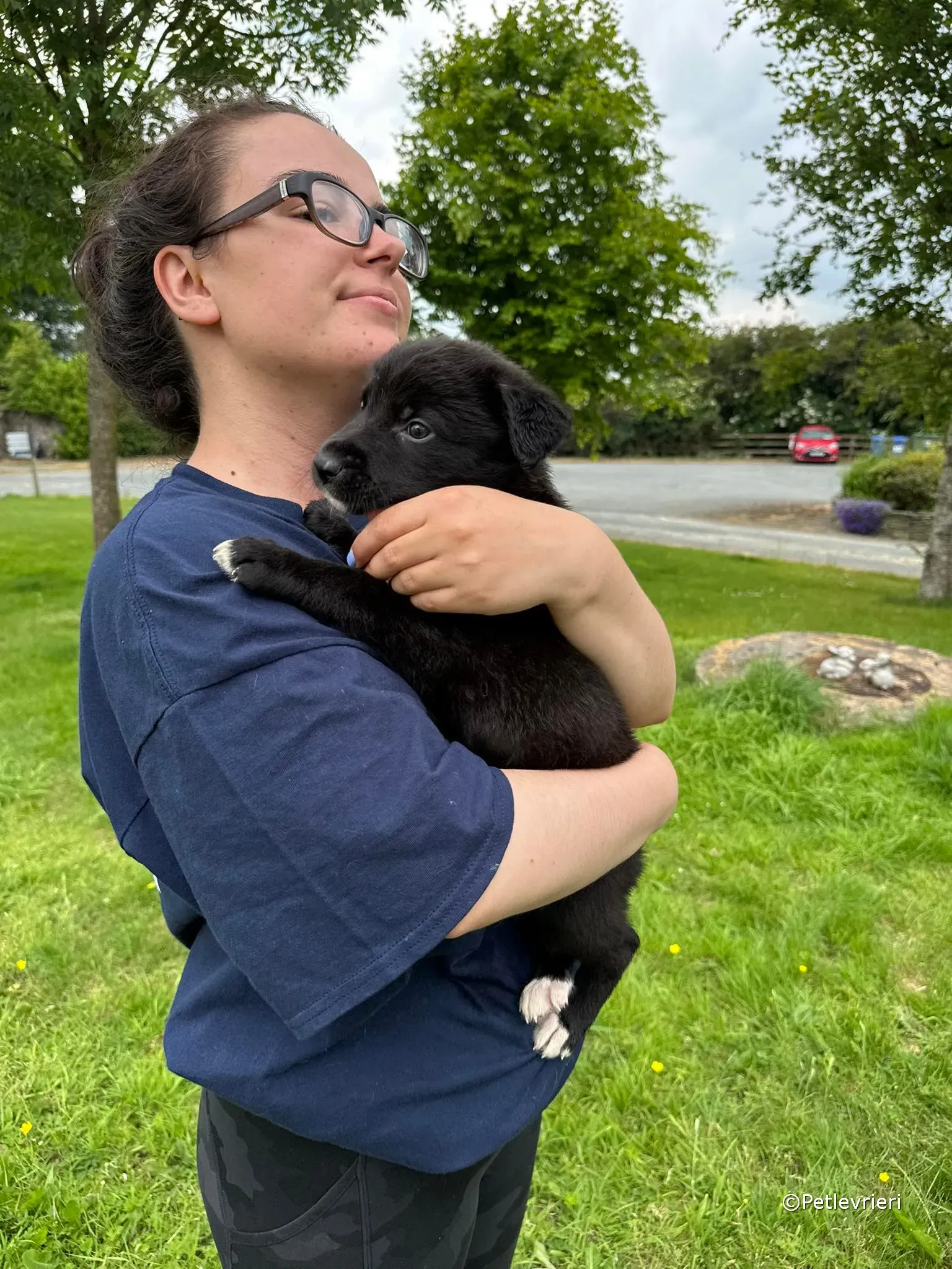 conor adozione greyhound petlevrieri 12