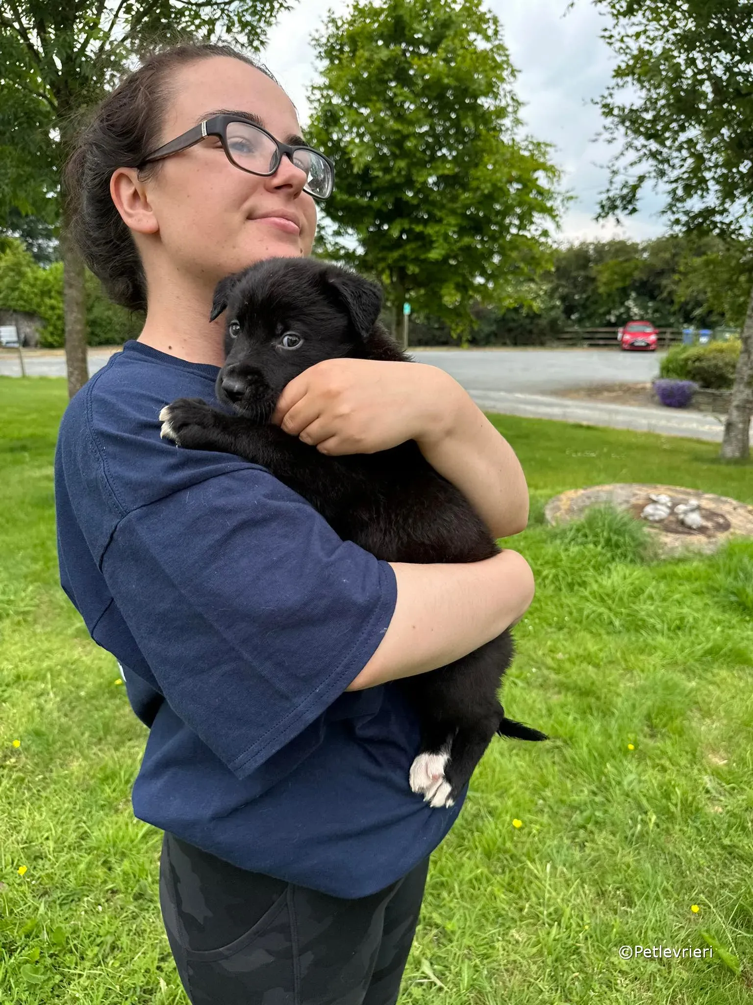 conor adozione greyhound petlevrieri 18