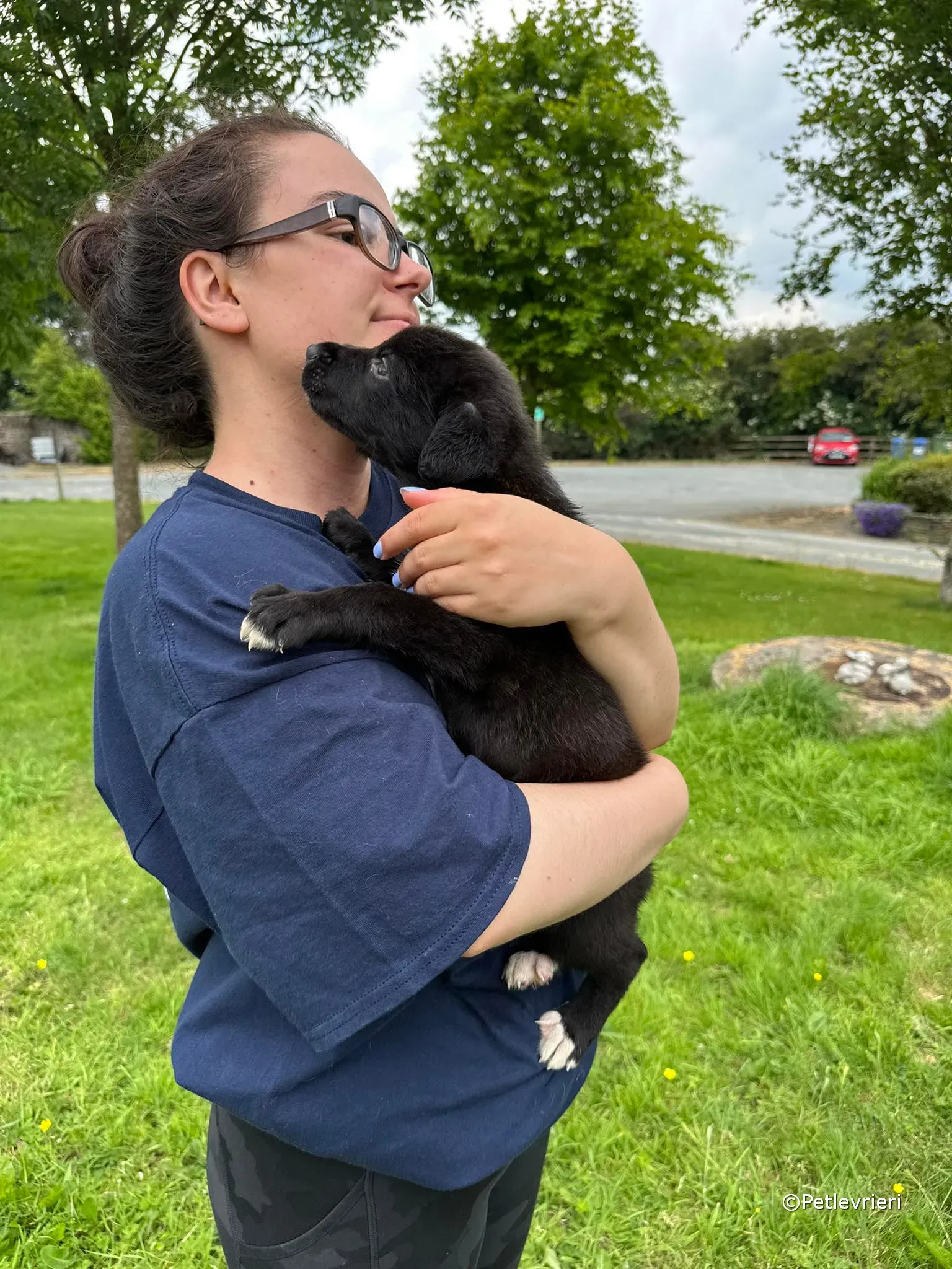 conor adozione greyhound petlevrieri 21