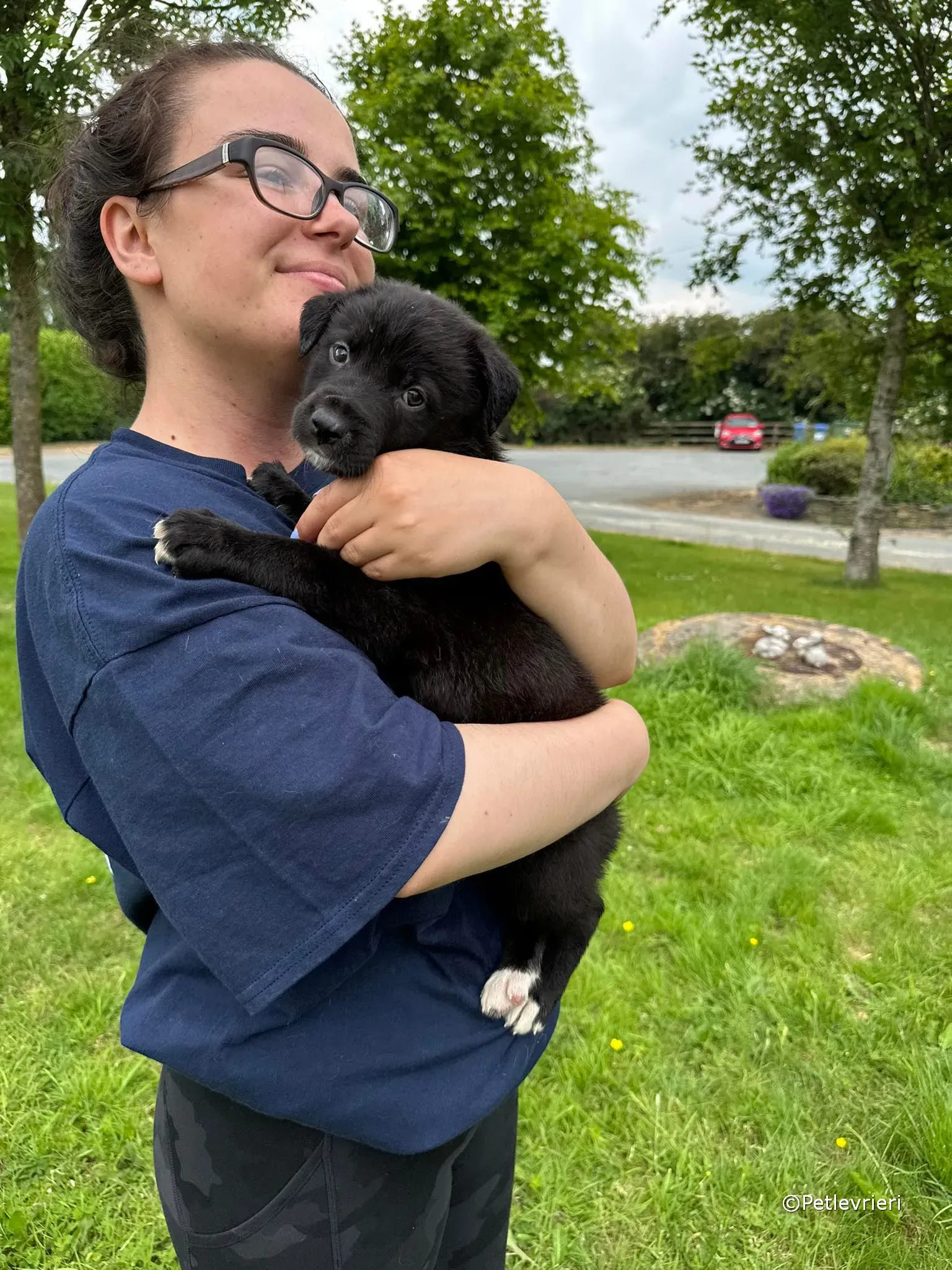 conor adozione greyhound petlevrieri 24