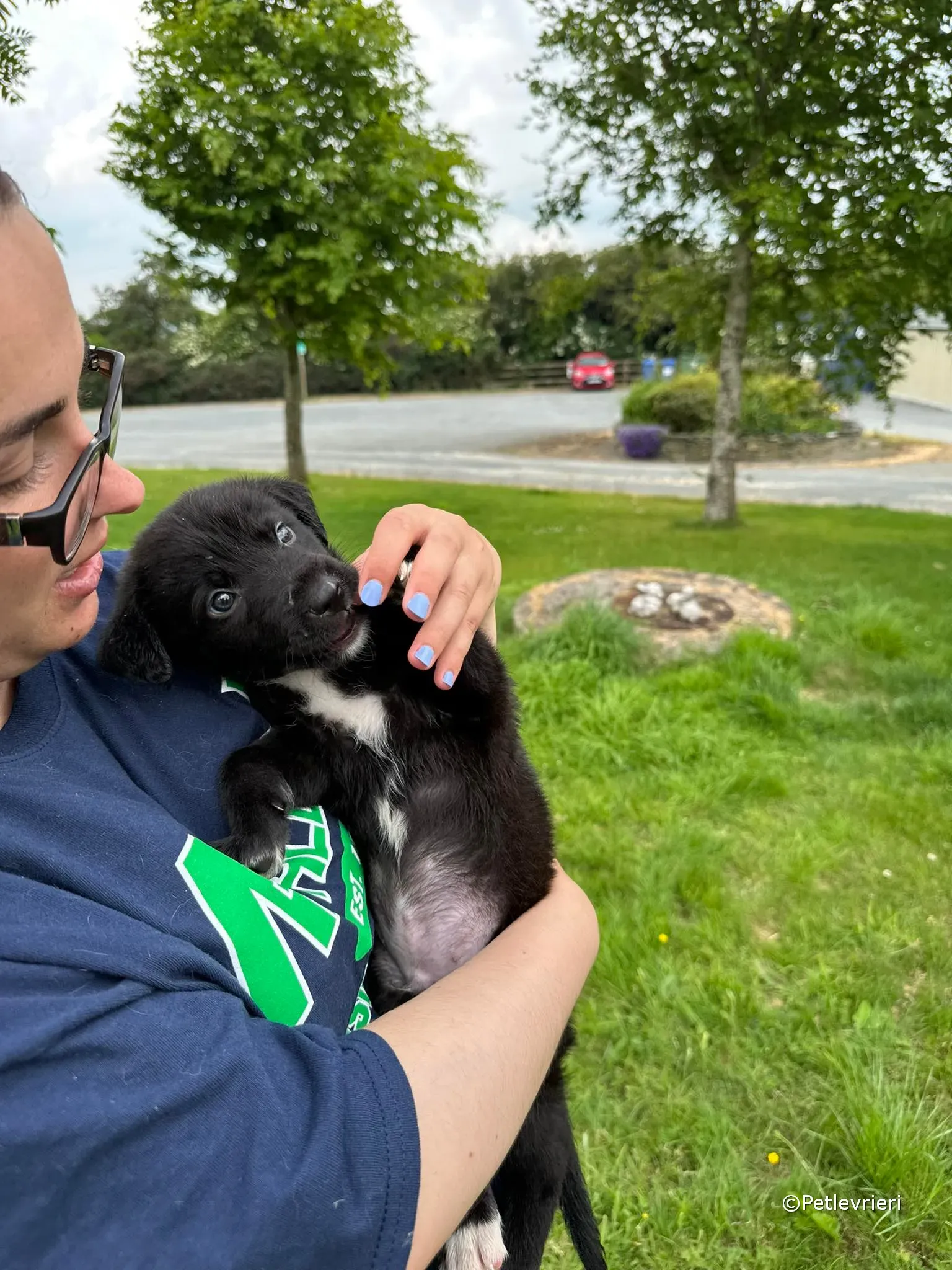 conor adozione greyhound petlevrieri 58