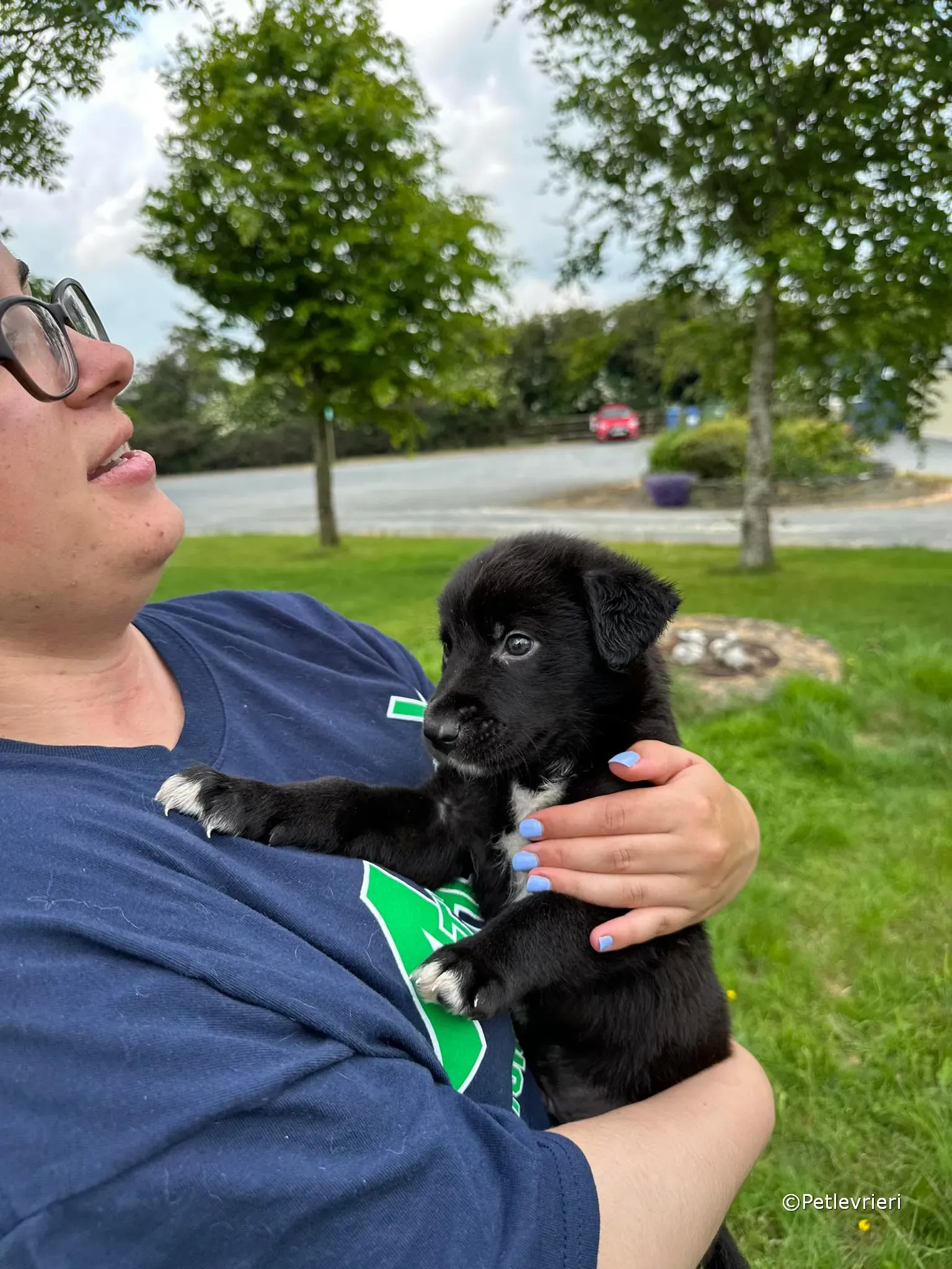 conor adozione greyhound petlevrieri 84