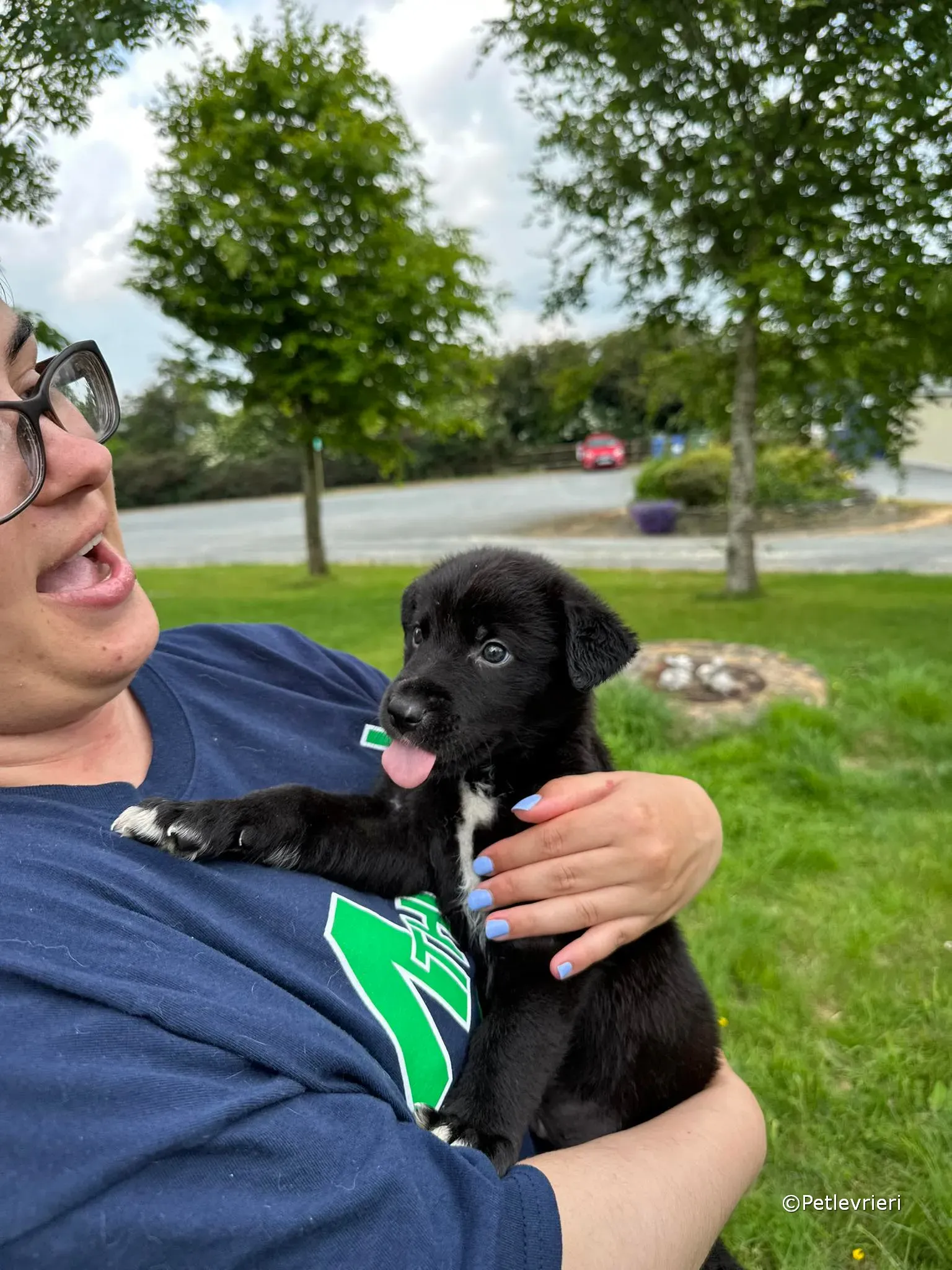 conor adozione greyhound petlevrieri 89