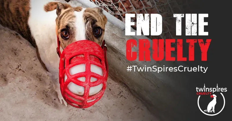 copertina end the cruelty twinspirescruelty 1