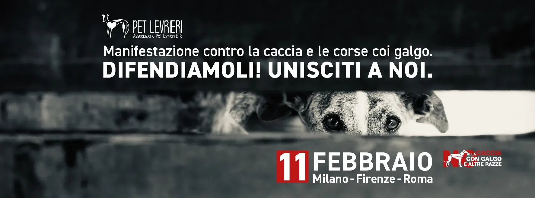 copertina facebook manifestazione febbraio