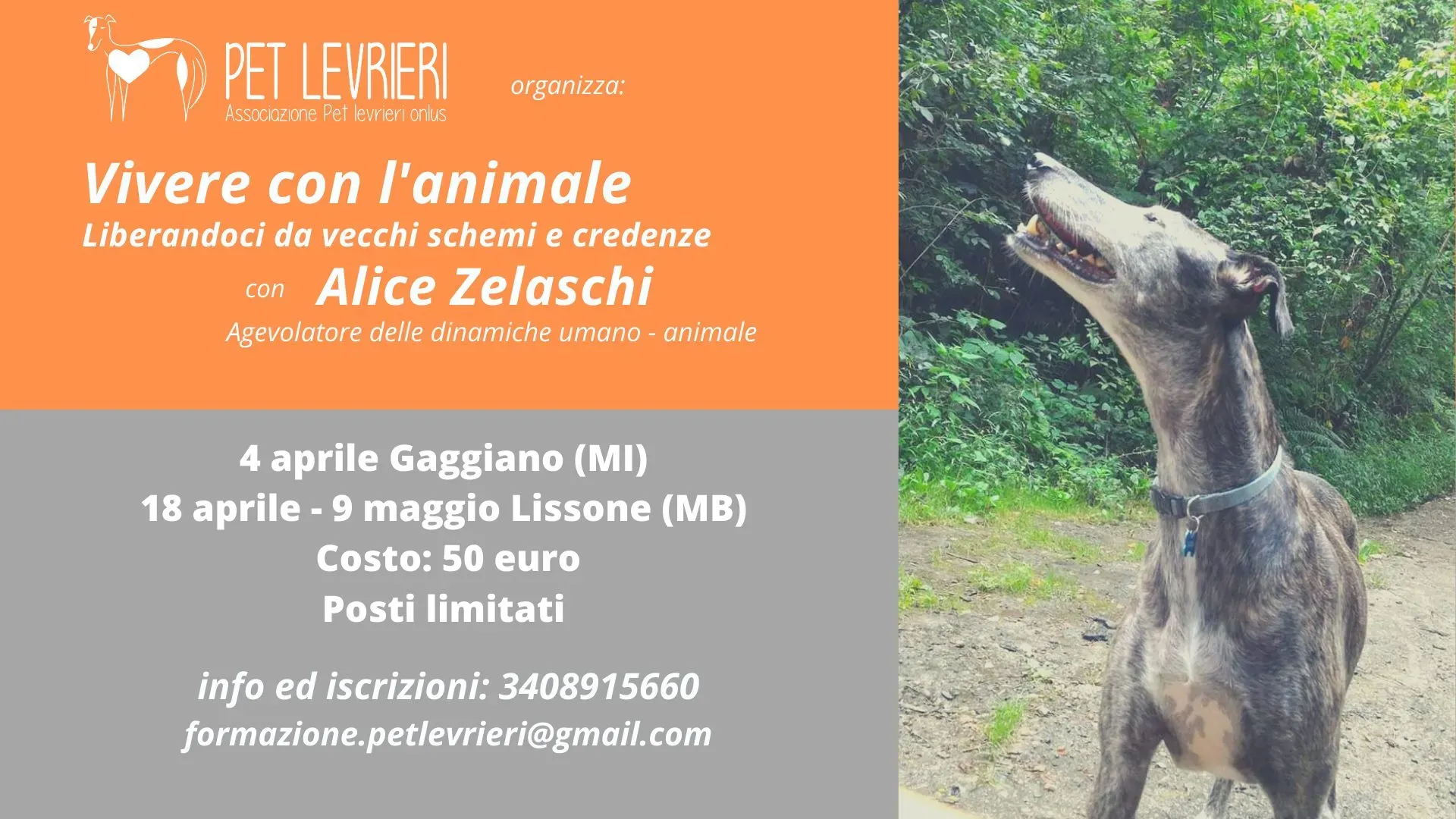 corso Alice Zelaschi