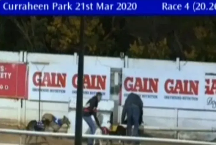 curraheen park 21 march 2020 49685987923 o