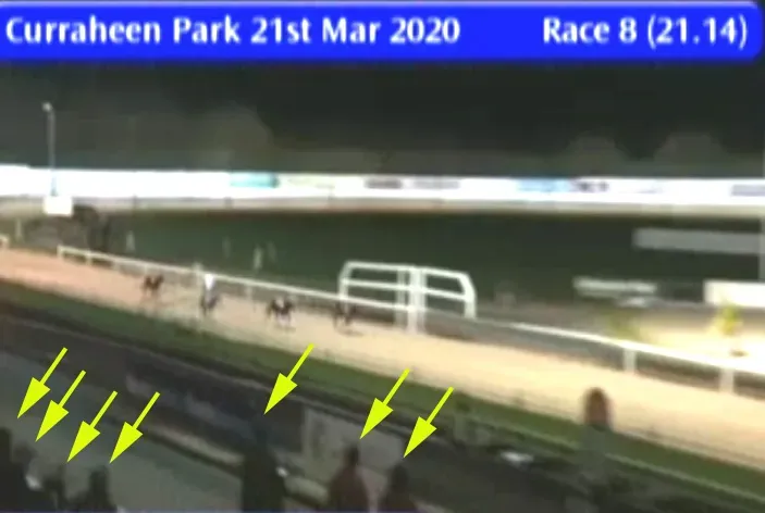 curraheen park 21 march 2020 49686519961 o