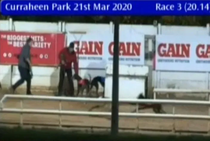 curraheen park 21 march 2020 49686520056 o
