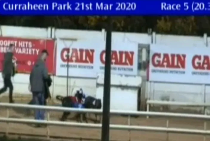 curraheen park 21 march 2020 49686821687 o