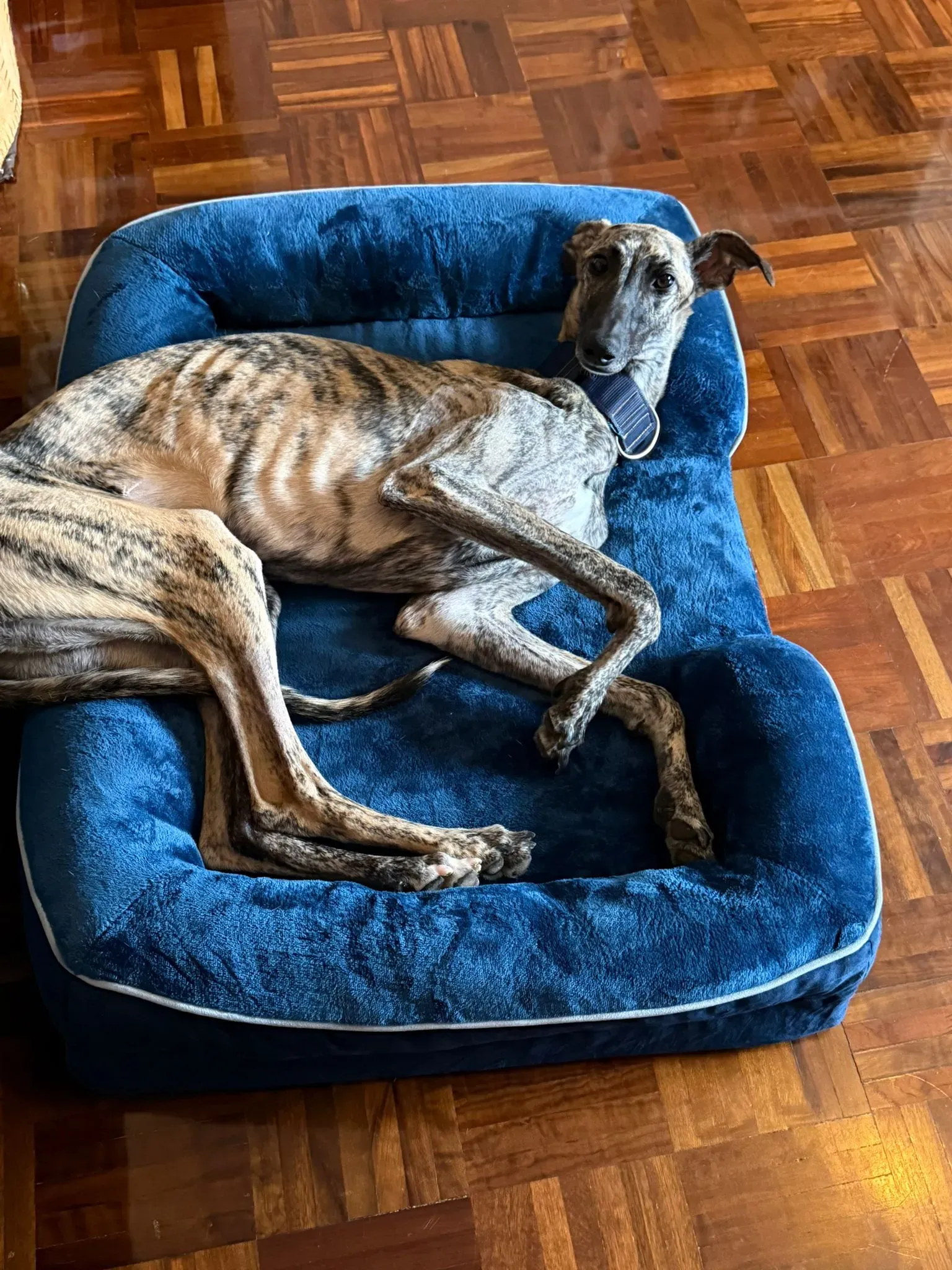 d0b998d8 f2d2 4207 bf20 2ee1c8192af0