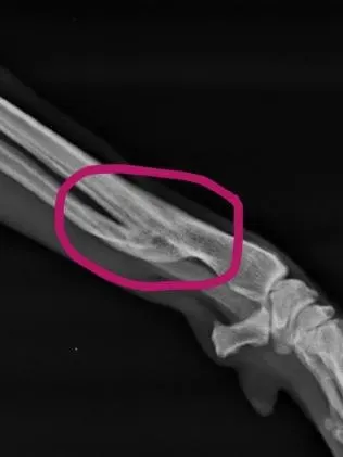 d463808f2b0d70eda9c32dc57a2adc79