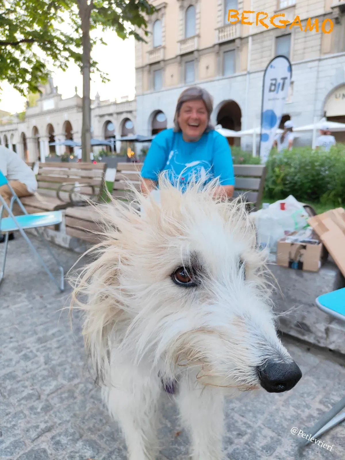 d55c2331 f0fd 485a 88ac 51ff8f841546 risultato