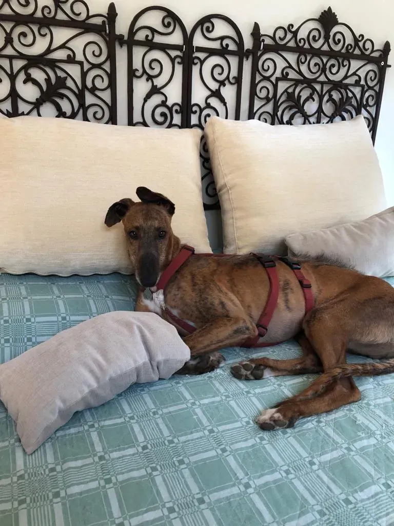 d630a375 0768 4ba9 855e 6a3788a81f40