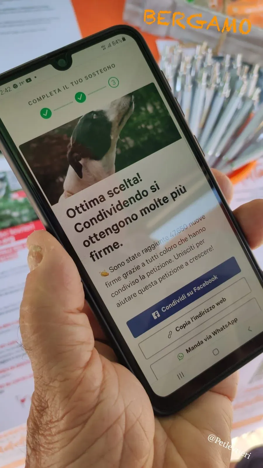 d6508c6f 99ba 48c1 ae0f 6f5dc1523ace risultato 1