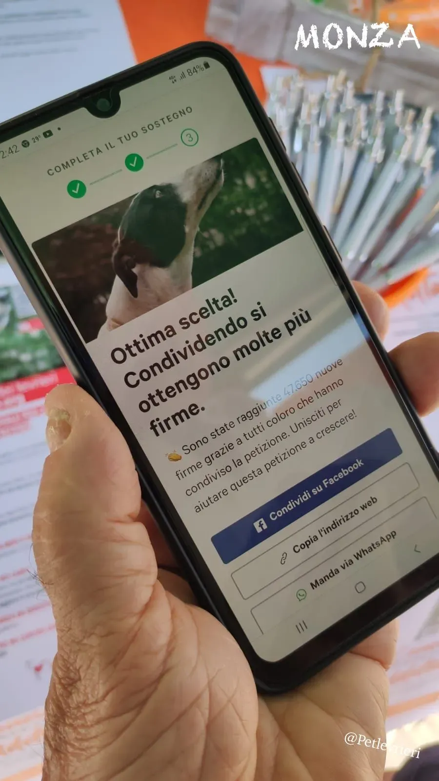 d6508c6f 99ba 48c1 ae0f 6f5dc1523ace risultato