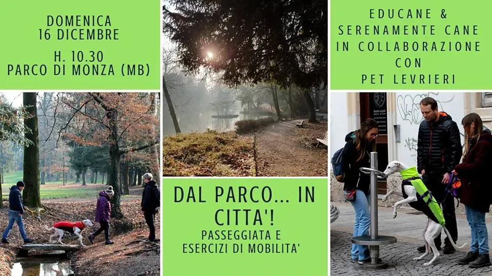 dal parco in città 16 dic
