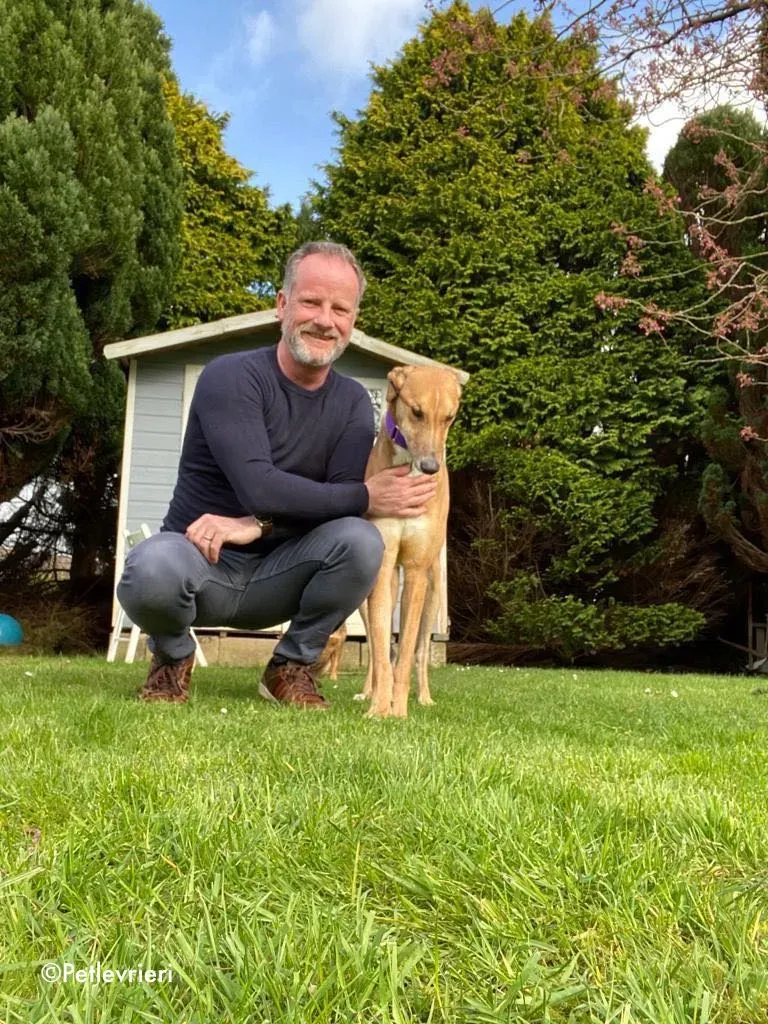 dave adozione levrieri greyhound 29