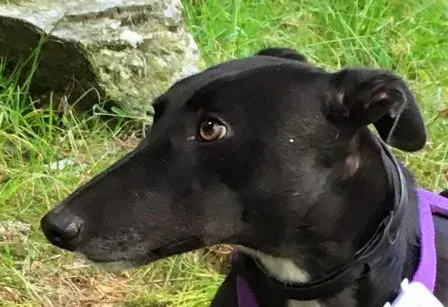 debby e1474313055447