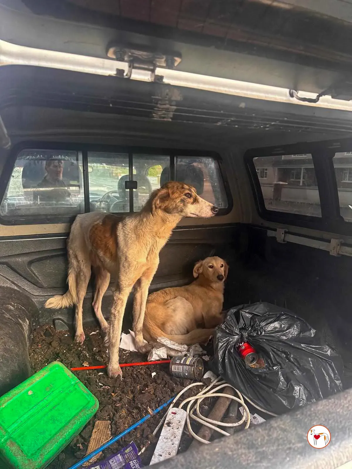 denim linen adozione grey 19