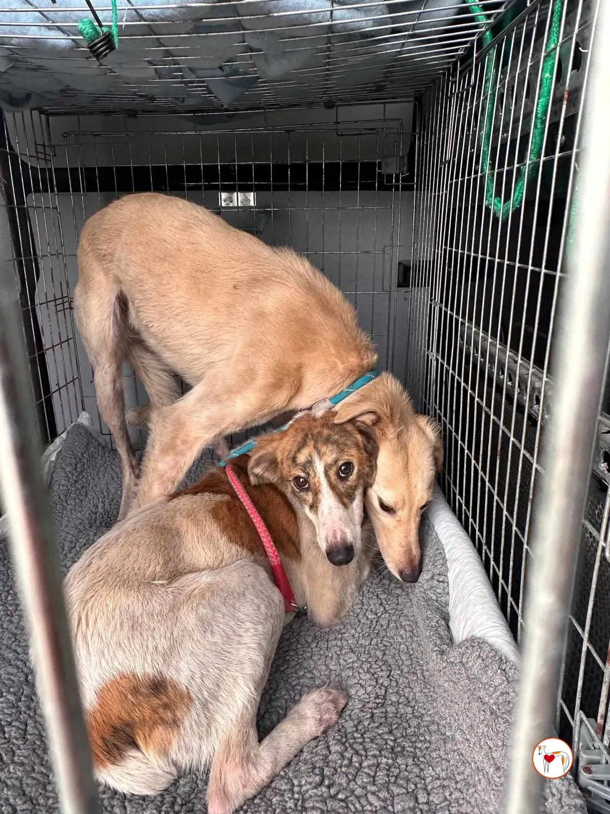 denim linen adozione grey 21