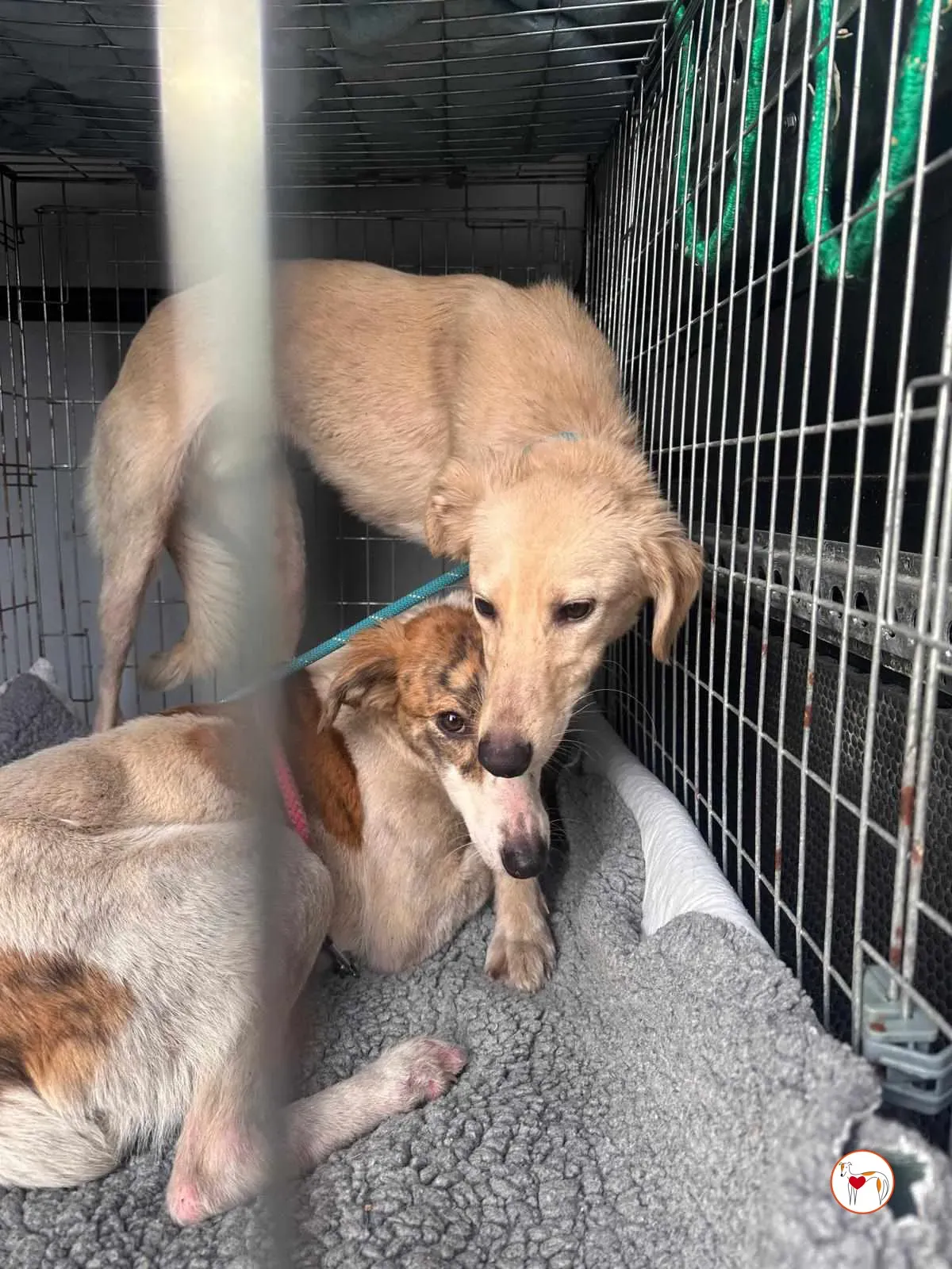 denim linen adozione grey 22