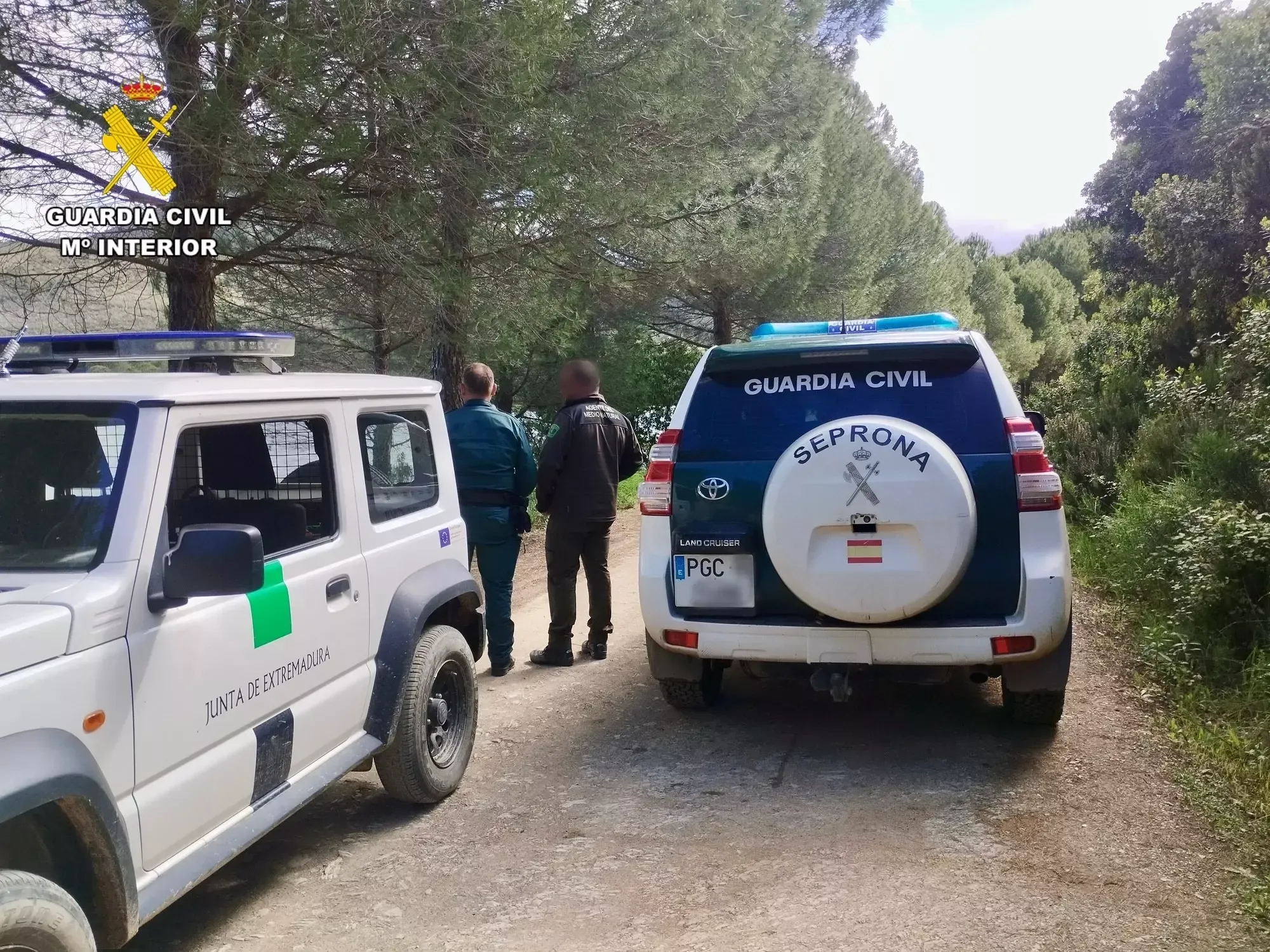 denuncia petlevrieri galgo 2