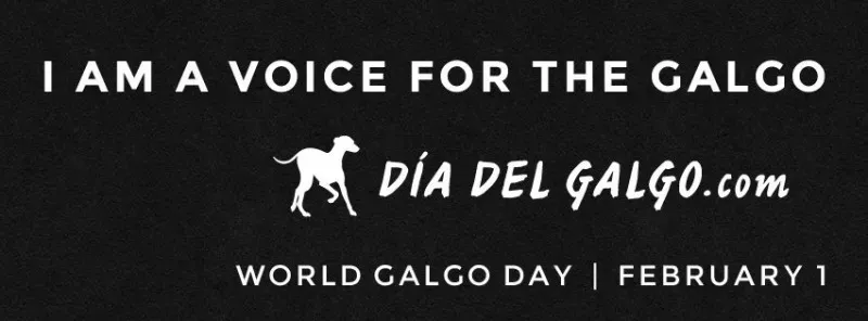 dia del galgo