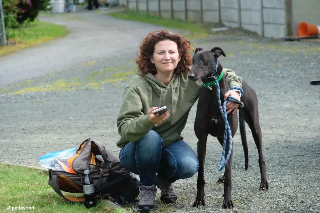 dizzie adozione greyhound 3