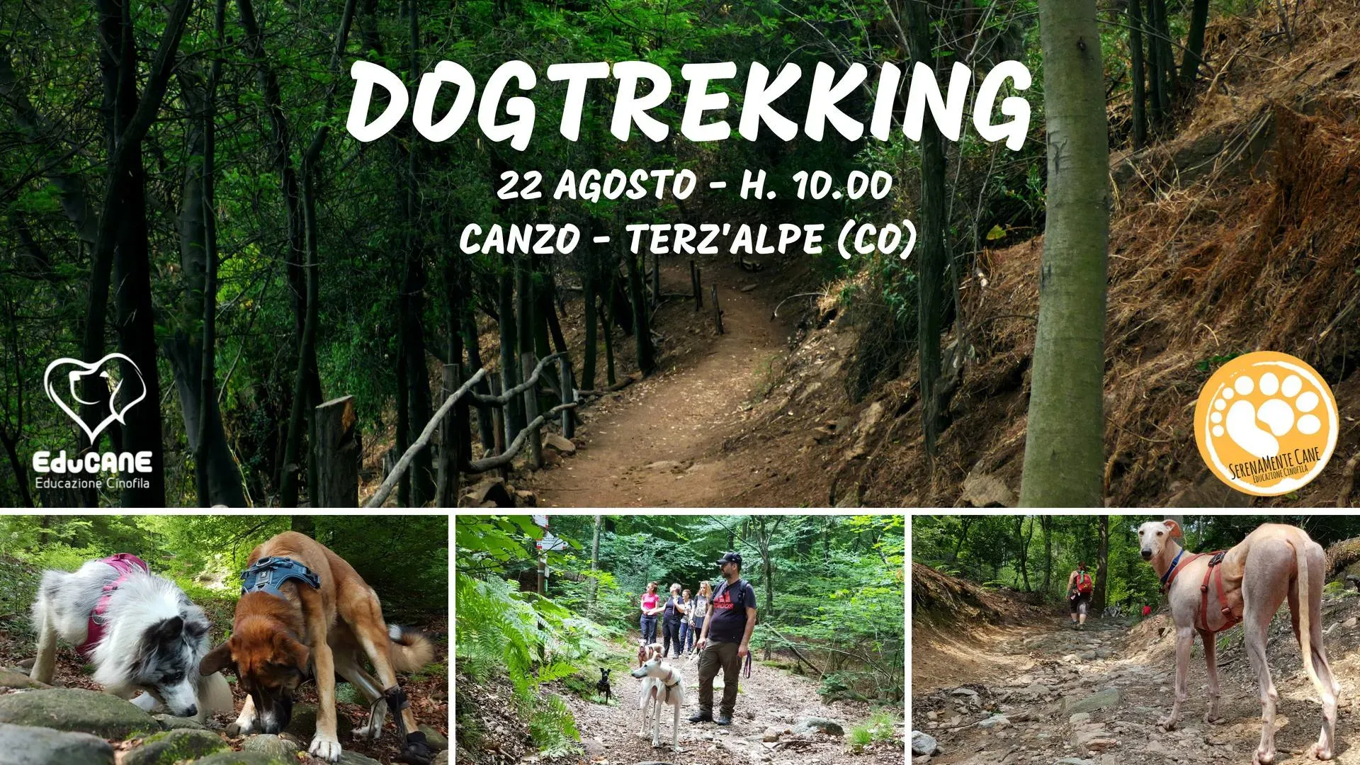 dog trekking 22 agosto