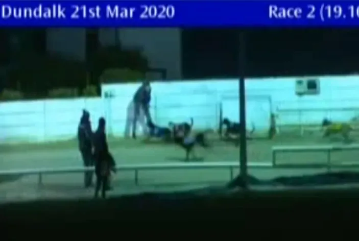 dundalk greyhound track 21 march 2020 49686582298 o