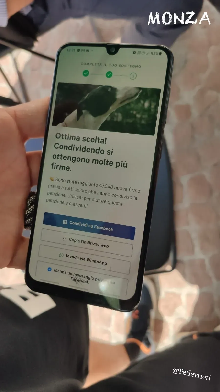 e6cedb62 882e 47d0 840d 85475671523b risultato