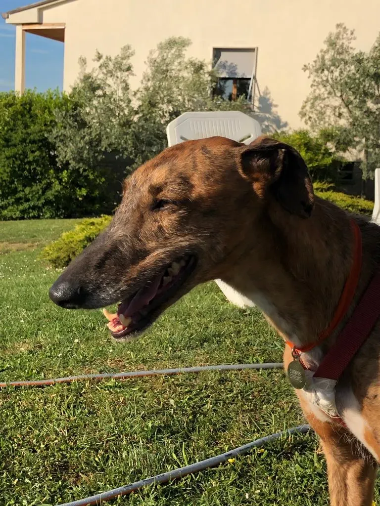 e8ab725b 1470 43c3 b534 72f052a2bdc1