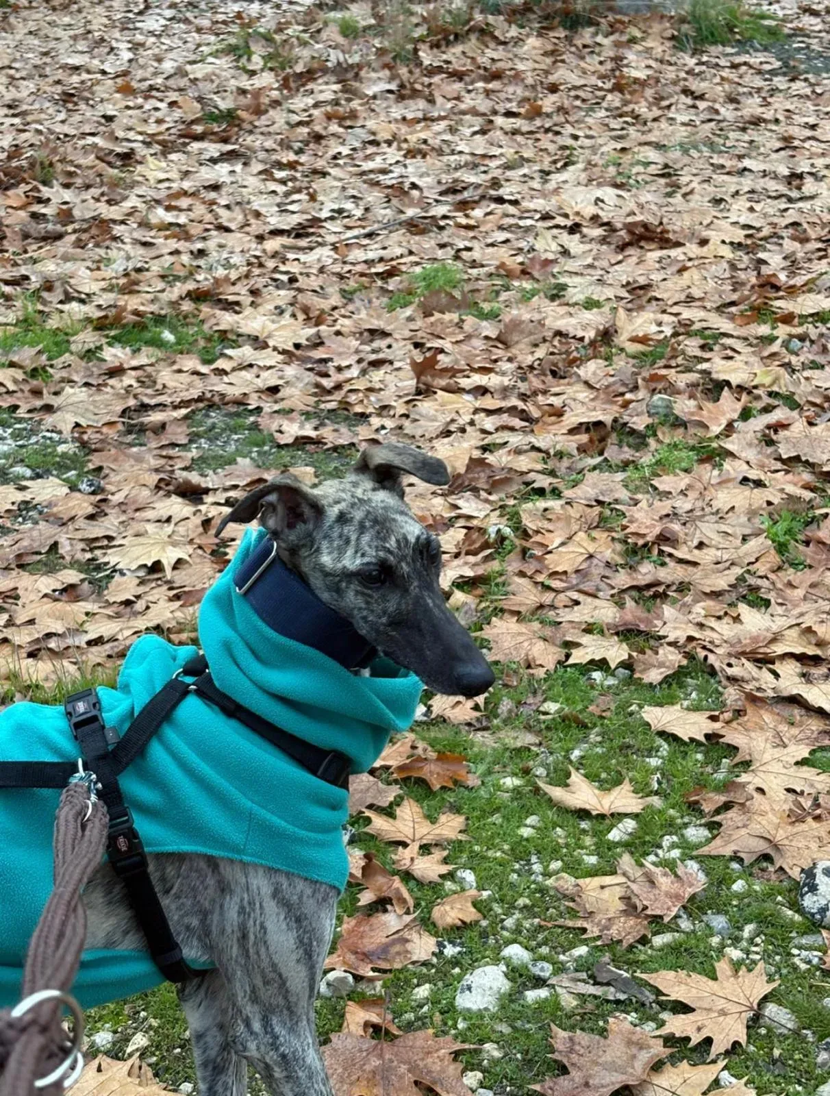 e945297a 9f22 406d 8bd4 6e564f62bc9a