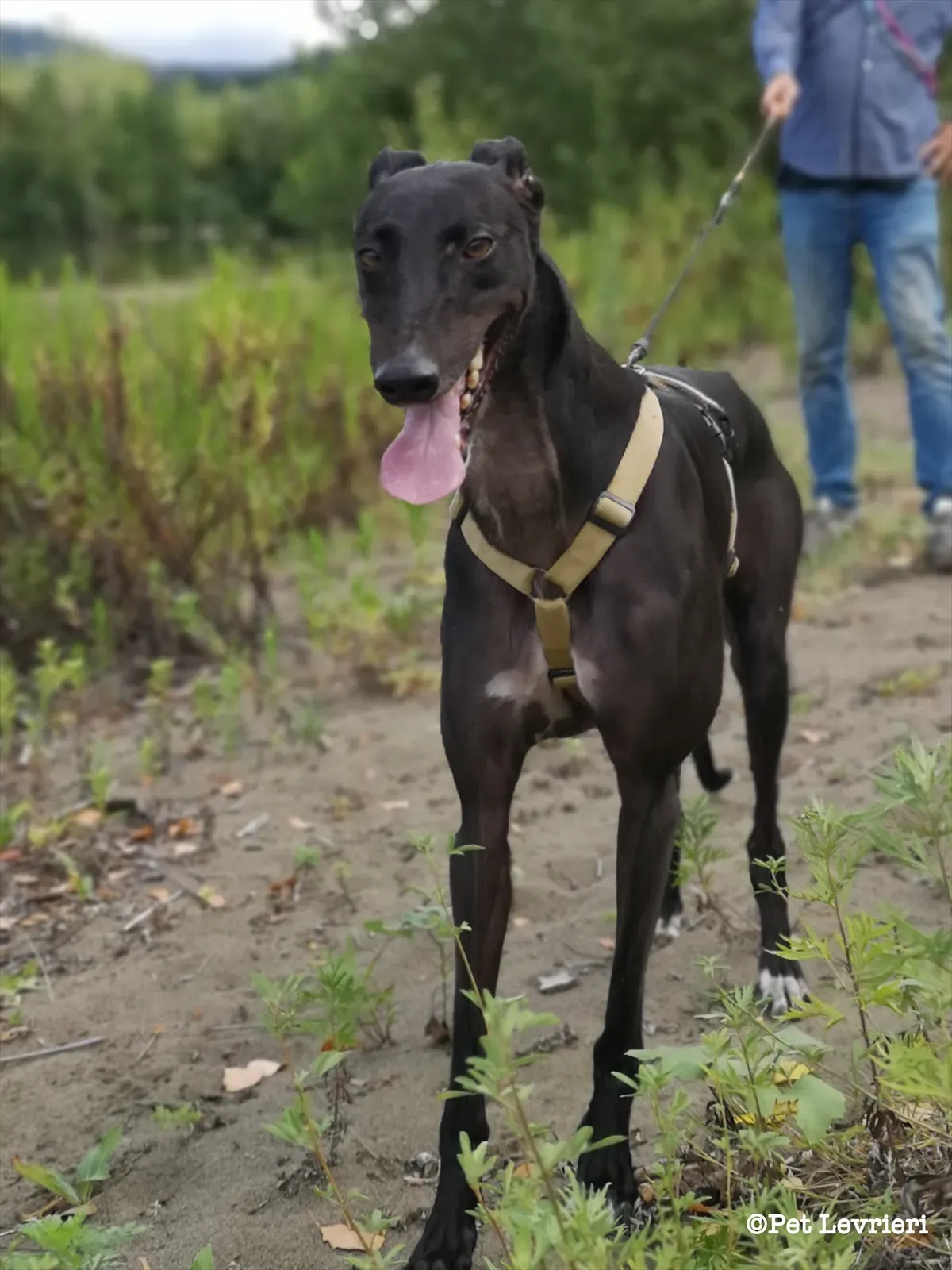 eZy Watermark 10 08 2023 08 45 15 9960PM 1