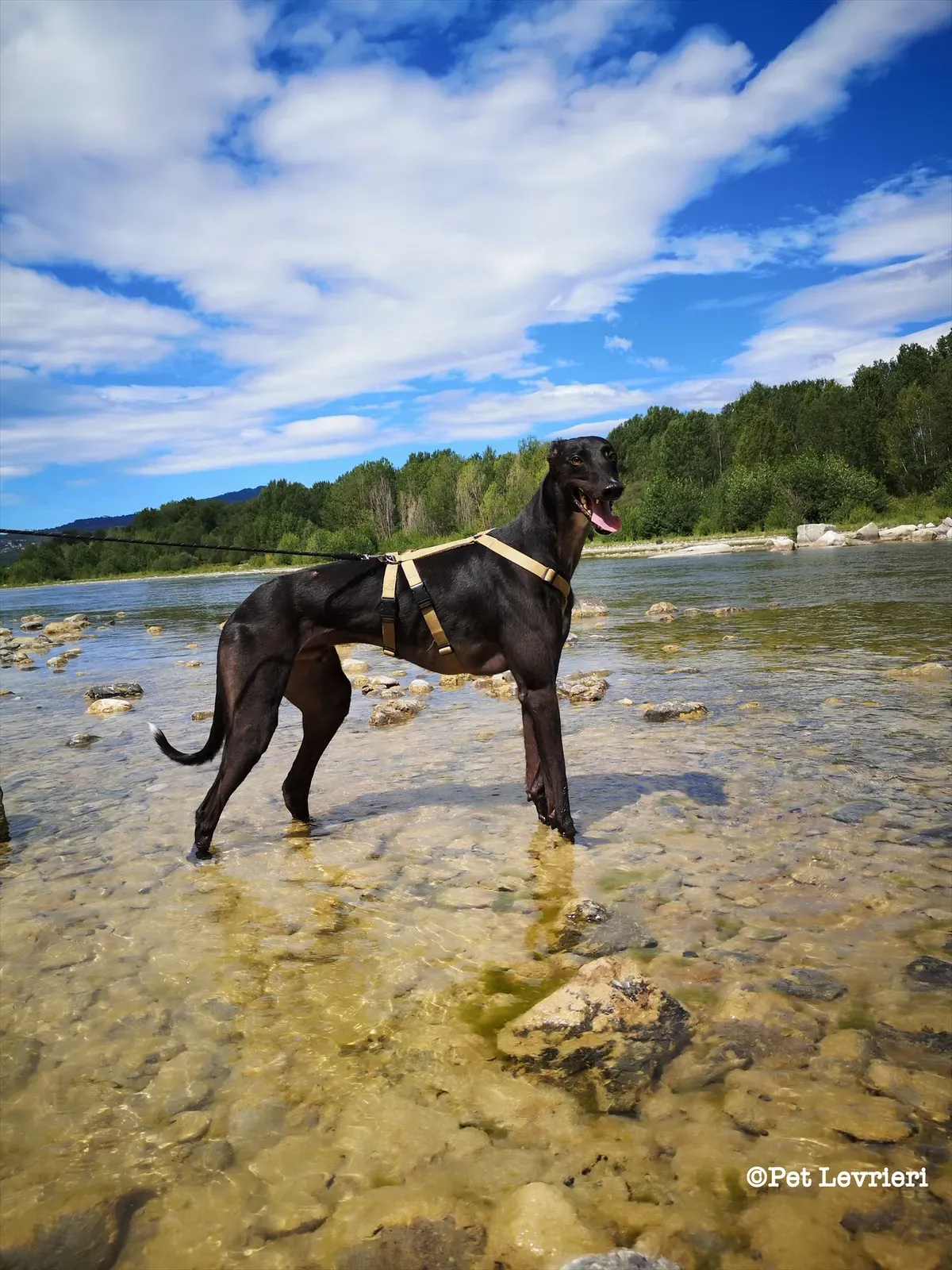 eZy Watermark 10 08 2023 08 46 30 0890PM 1