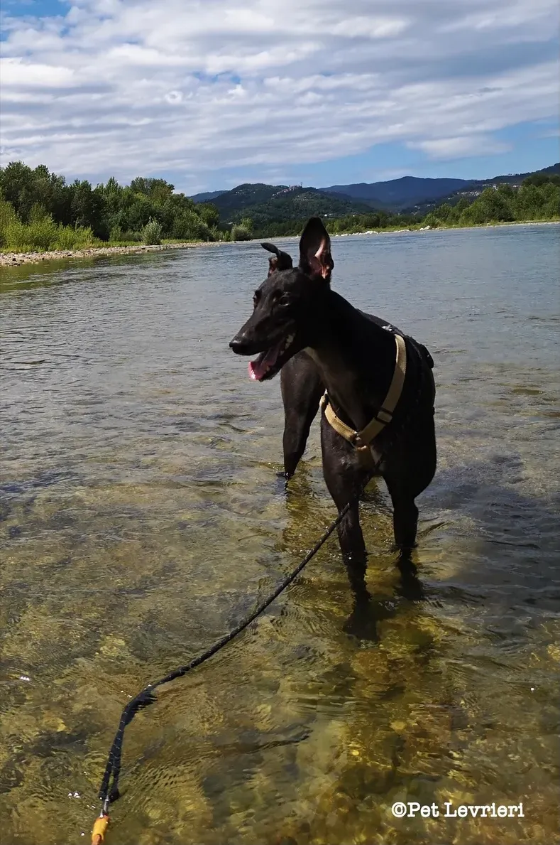 eZy Watermark 10 08 2023 08 47 05 1920PM 1