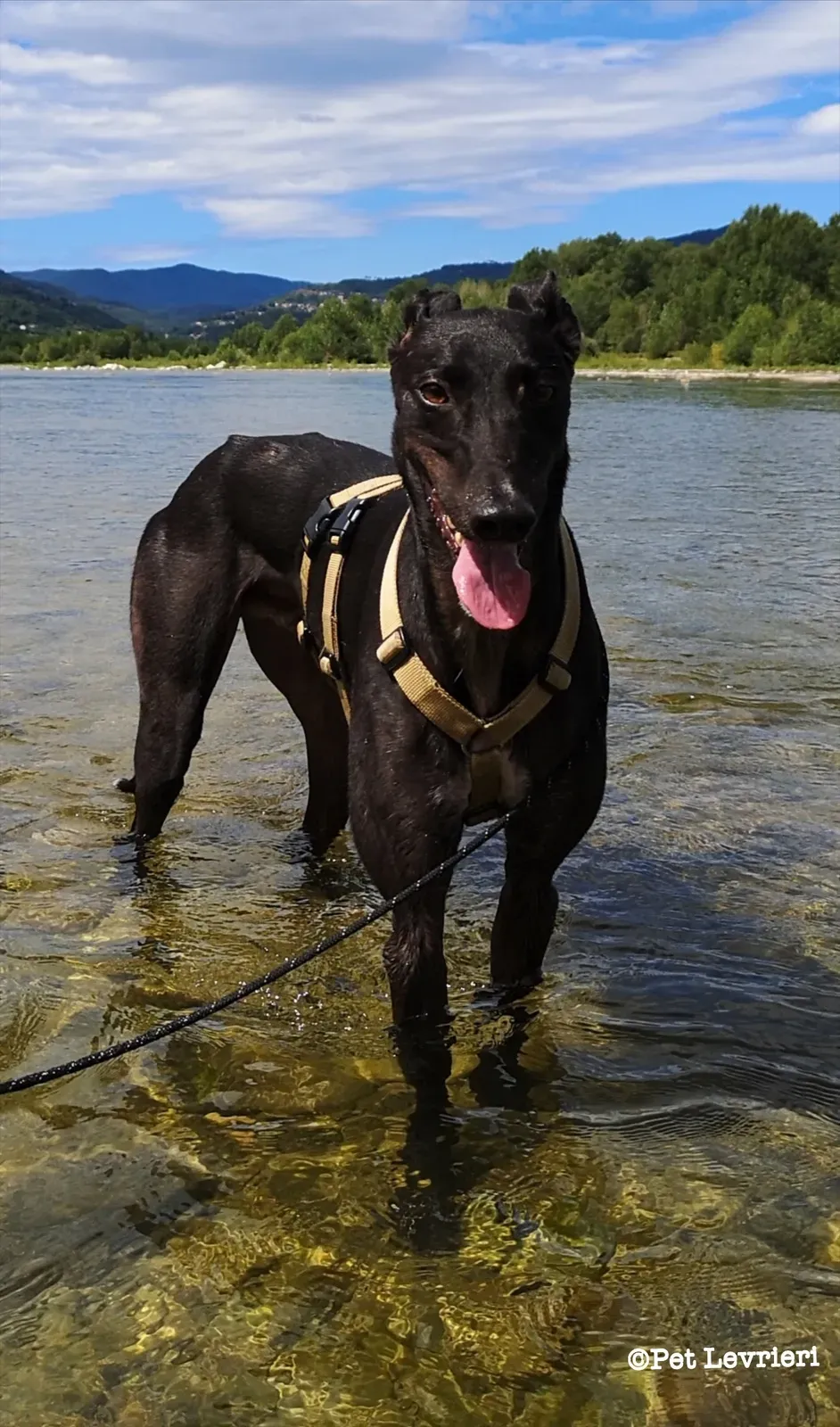 eZy Watermark 10 08 2023 08 48 06 4320PM 1