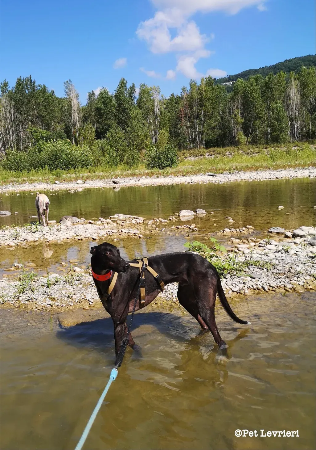 eZy Watermark 10 08 2023 08 48 47 5950PM 1