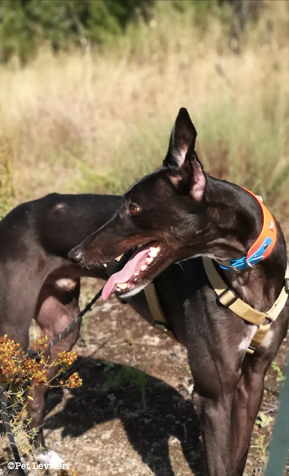 eZy Watermark 10 08 2023 08 49 45 4800PM 1