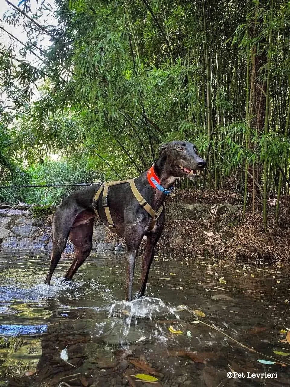 eZy Watermark 10 08 2023 08 50 42 3700PM 1